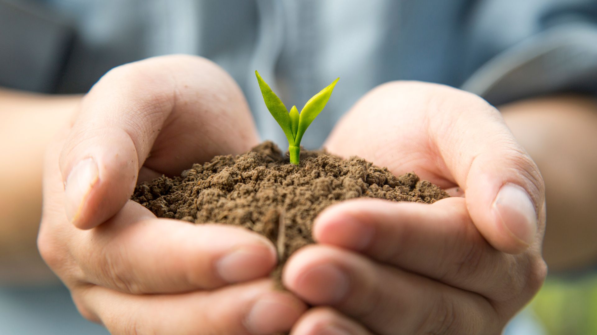 ゆずりは基金の寄附募集を開始いたしました