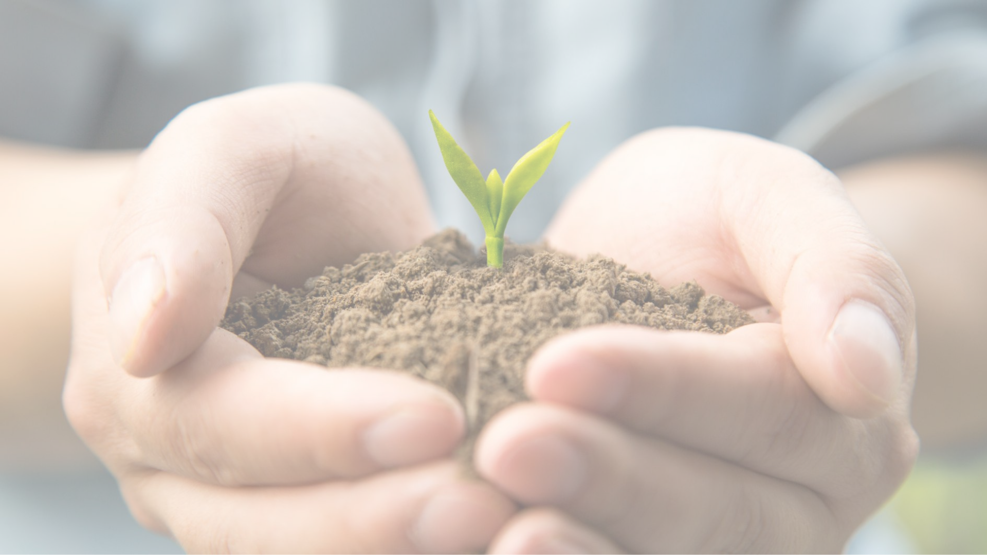 2024年 ゆずりは基金　助成先採択結果のお知らせ