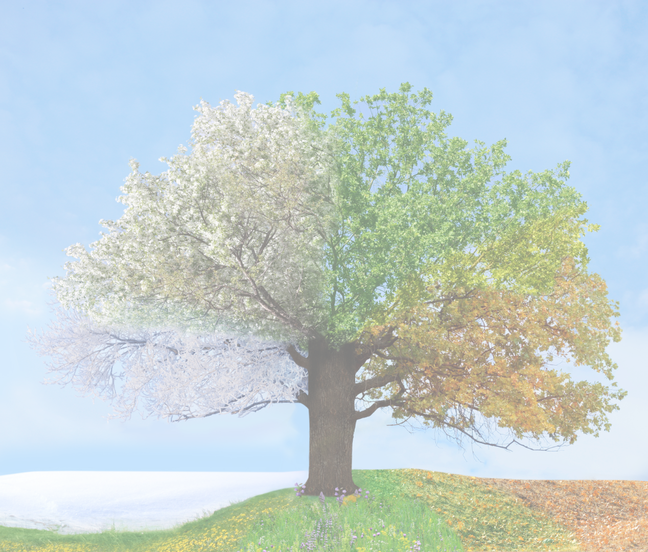 サンエス基金　助成先採択結果のお知らせ