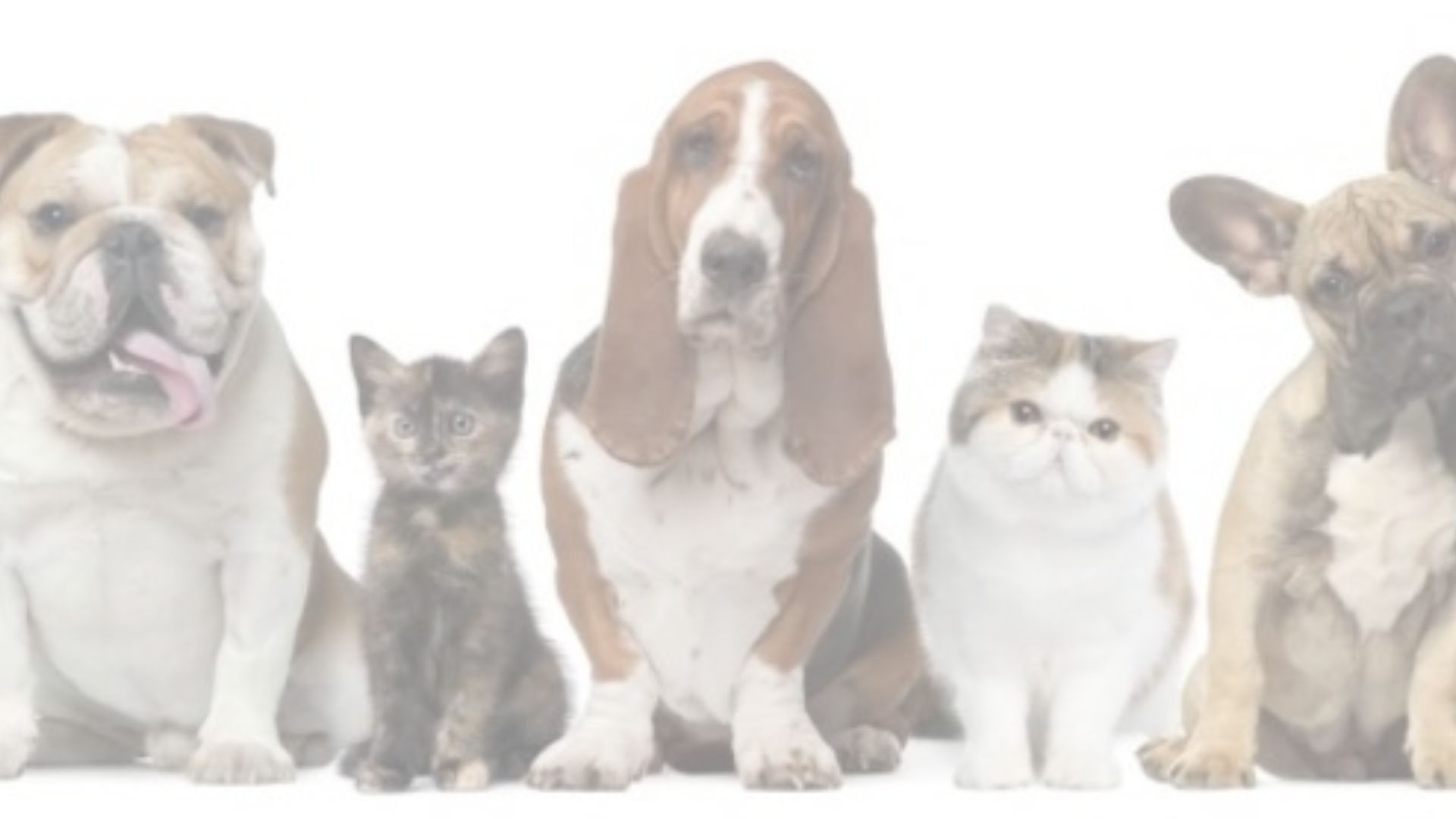 ラッキー基金　助成先採択結果のお知らせ